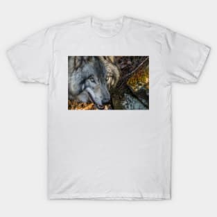 Timber Wolf - Closeup T-Shirt